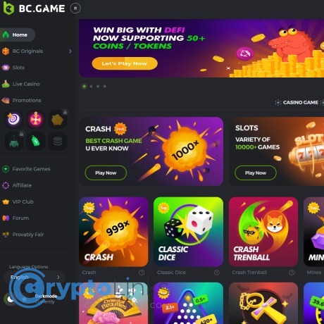 A Comprehensive Overview of BC.Game Betting Platform