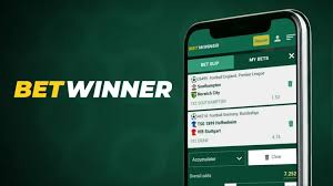 Exploring the Betwinner Live Betting App
