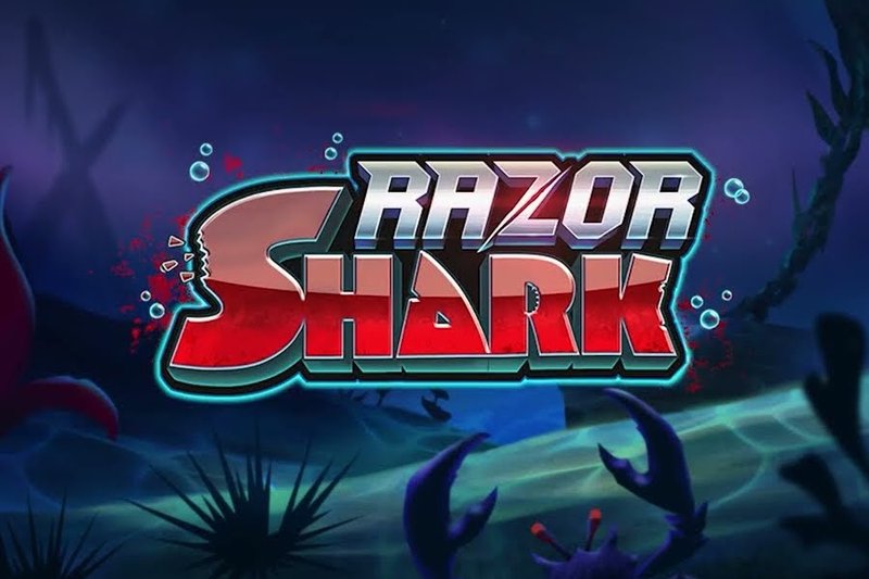 Meilleur razon shark à Canada