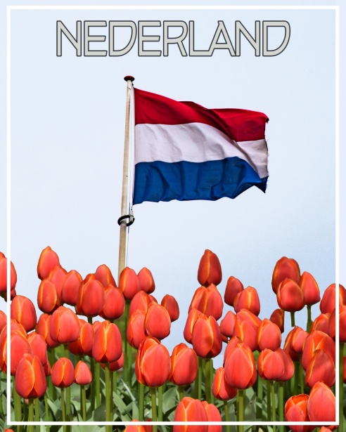 Desinformatie in de Media Impact en Oplossingen