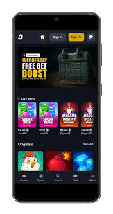 What Makes Bitfortune Live Casino Stand Out in the Online Gaming World