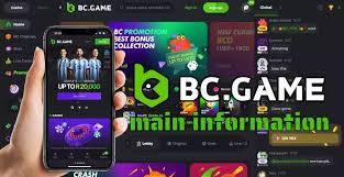 BC.Game Login Process for African Players A Comprehensive Guide