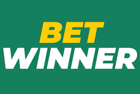 Experience the Thrill of BetWinner Casino Your Ultimate Gaming Destination