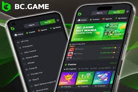 Exploring BC.Game Casino A New Era of Online Gaming in Jordan