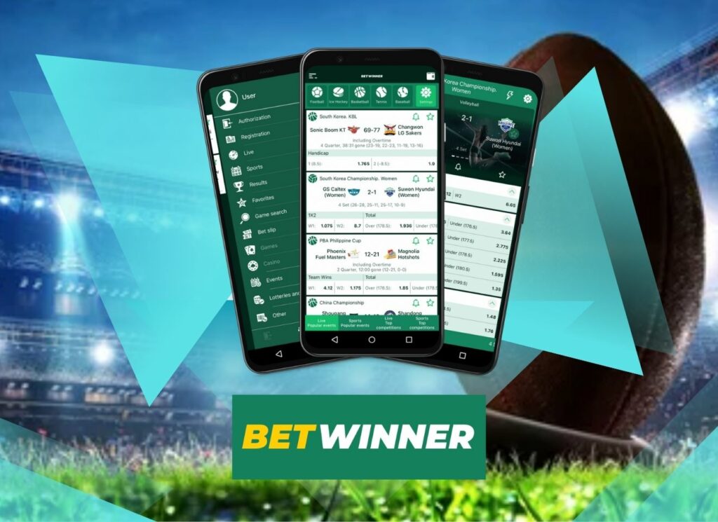Understanding the BetWinner Login Process